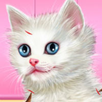Игра Для девочек уход за животными котятами